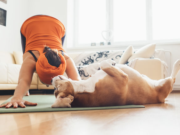 Eine Frau macht Sportübungen im Wohnzimmer. Ihr Hund beobachtet sie dabei.