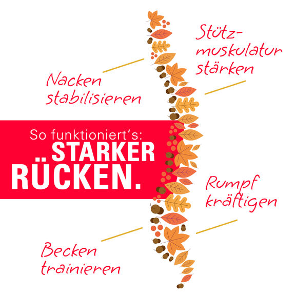 So geht starker Rücken
