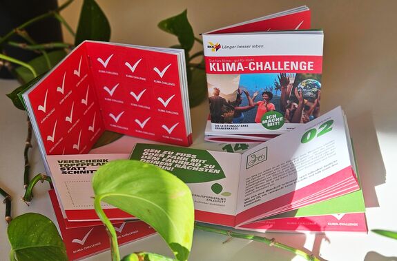 Bilder des Booklets der Klimachallenge