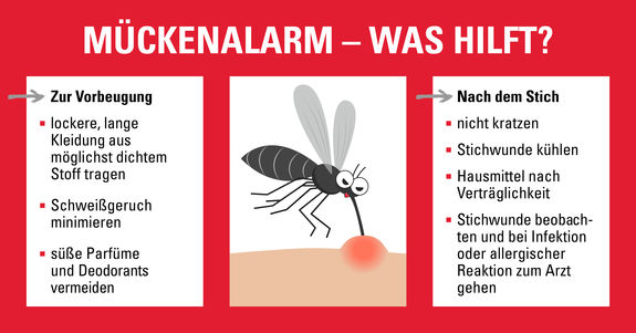 Anleitung was tun bei Mueckenstich